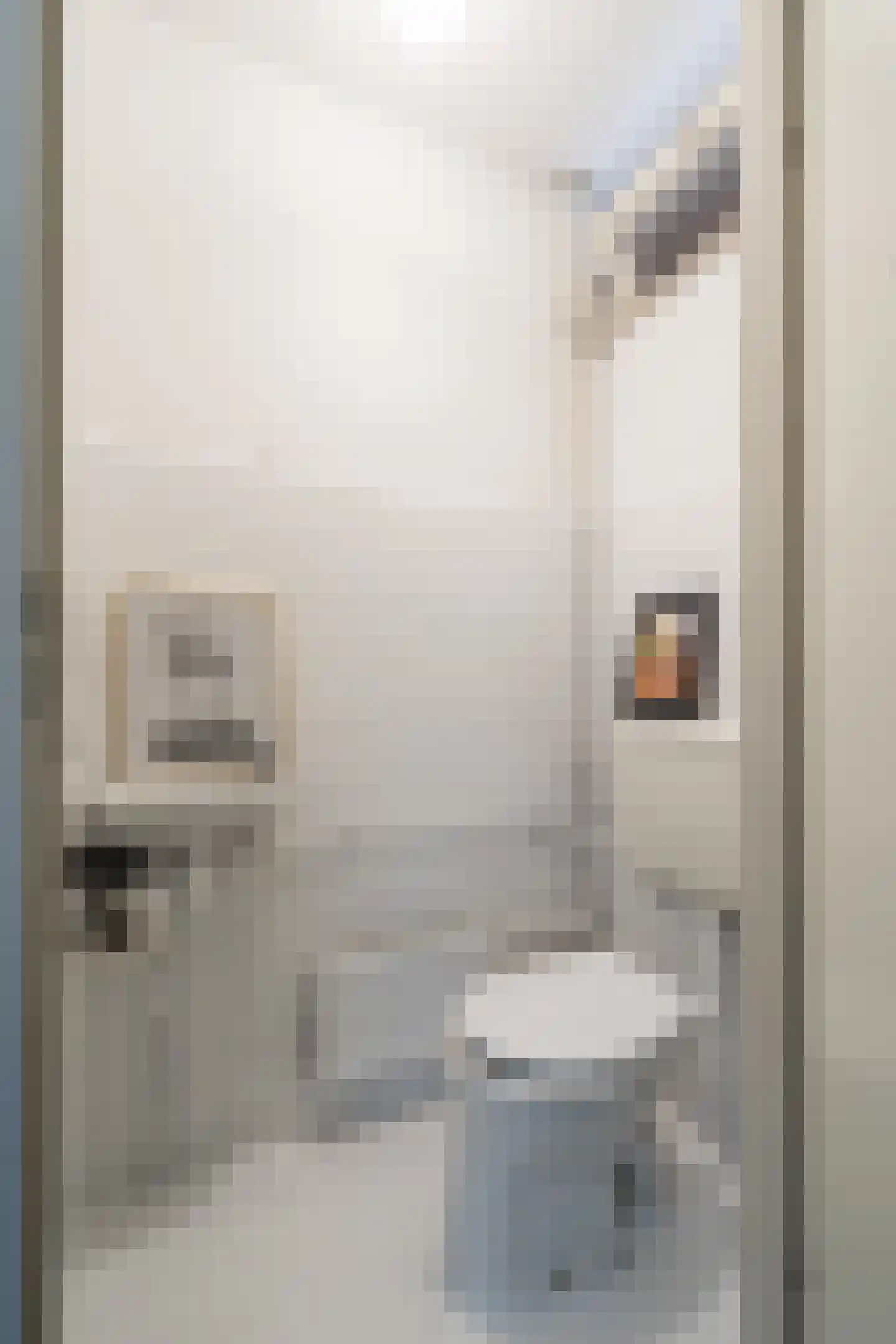 Theunishof 14 Weert thumbnail 11