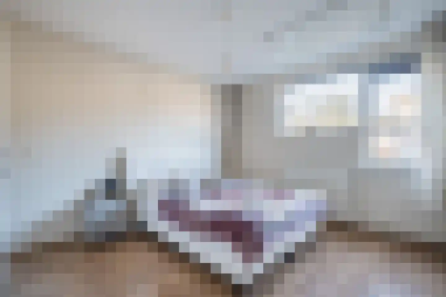Theunishof 14 Weert thumbnail 14