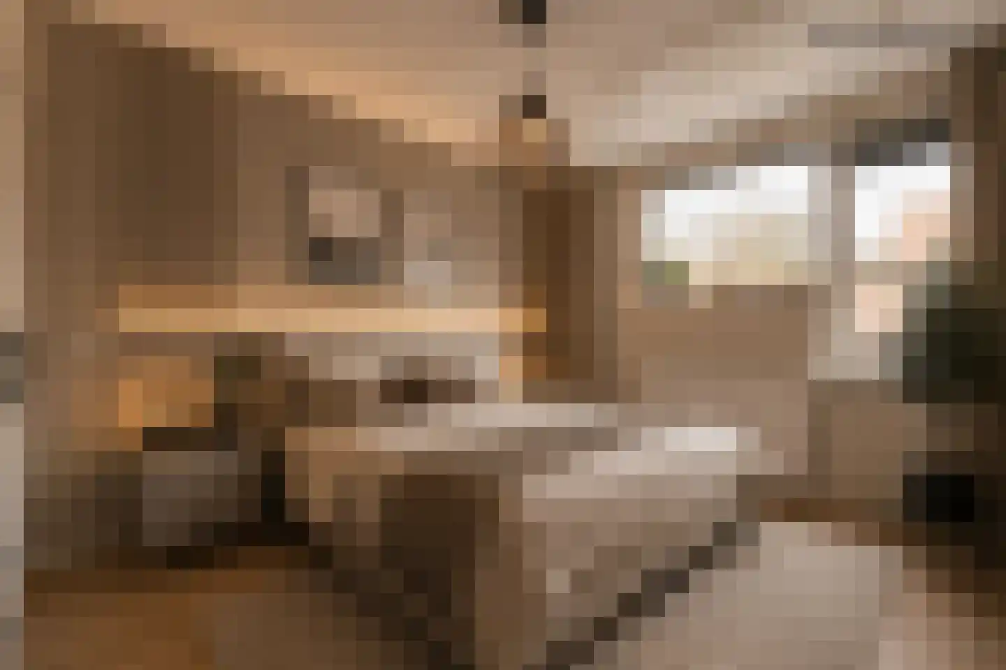 Theunishof 14 Weert thumbnail 18