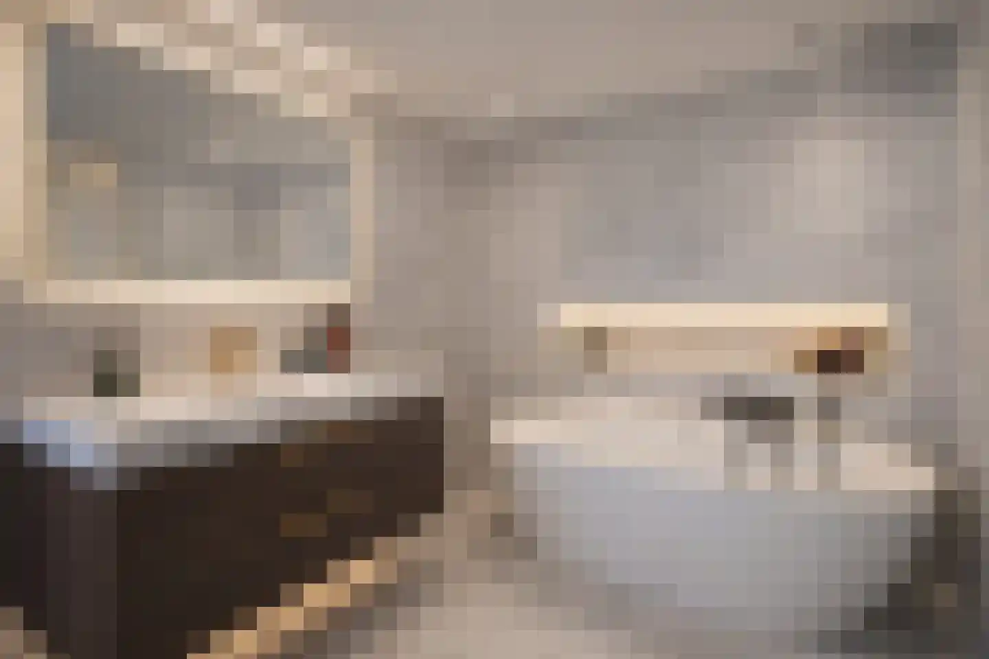 Theunishof 14 Weert thumbnail 26