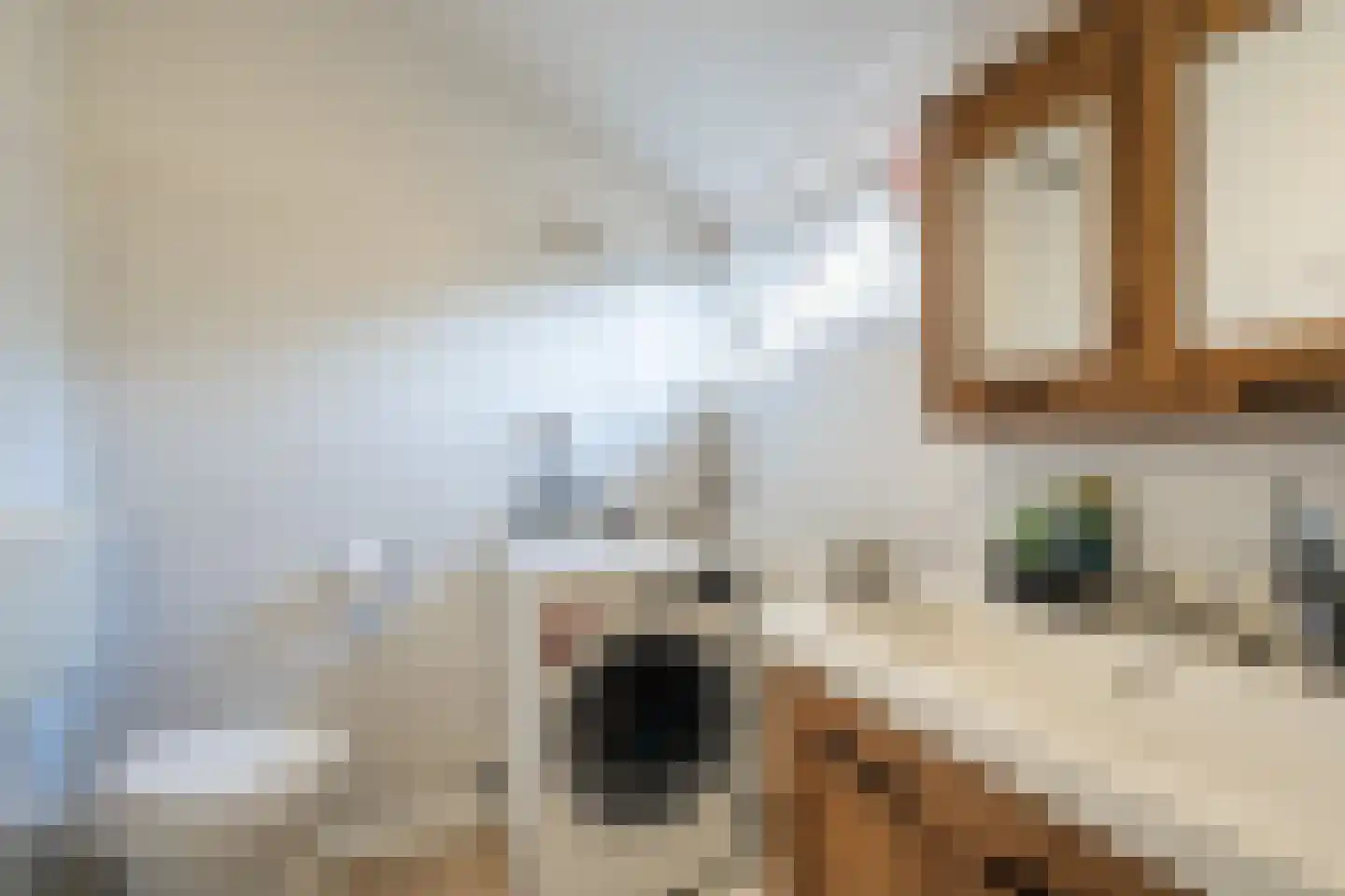 Theunishof 14 Weert thumbnail 28