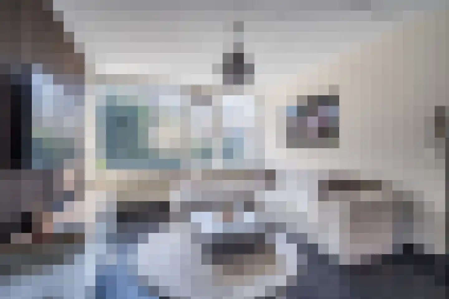 Theunishof 14 Weert thumbnail 6