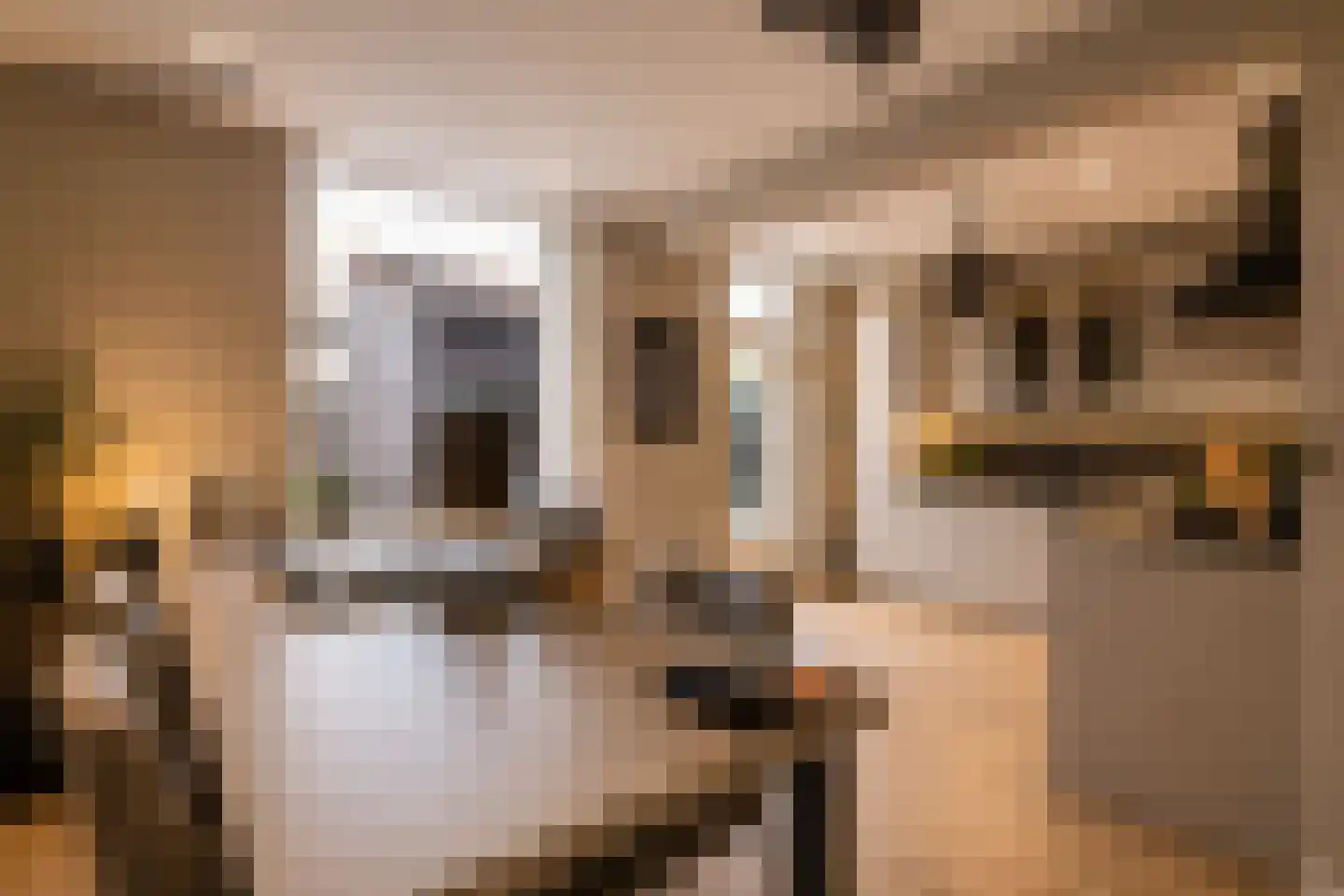 Theunishof 14 Weert thumbnail 8