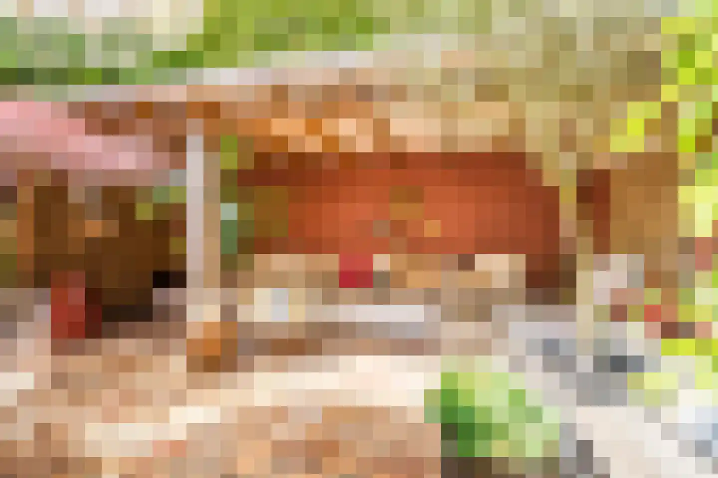 Theunishof 18 Weert thumbnail 28
