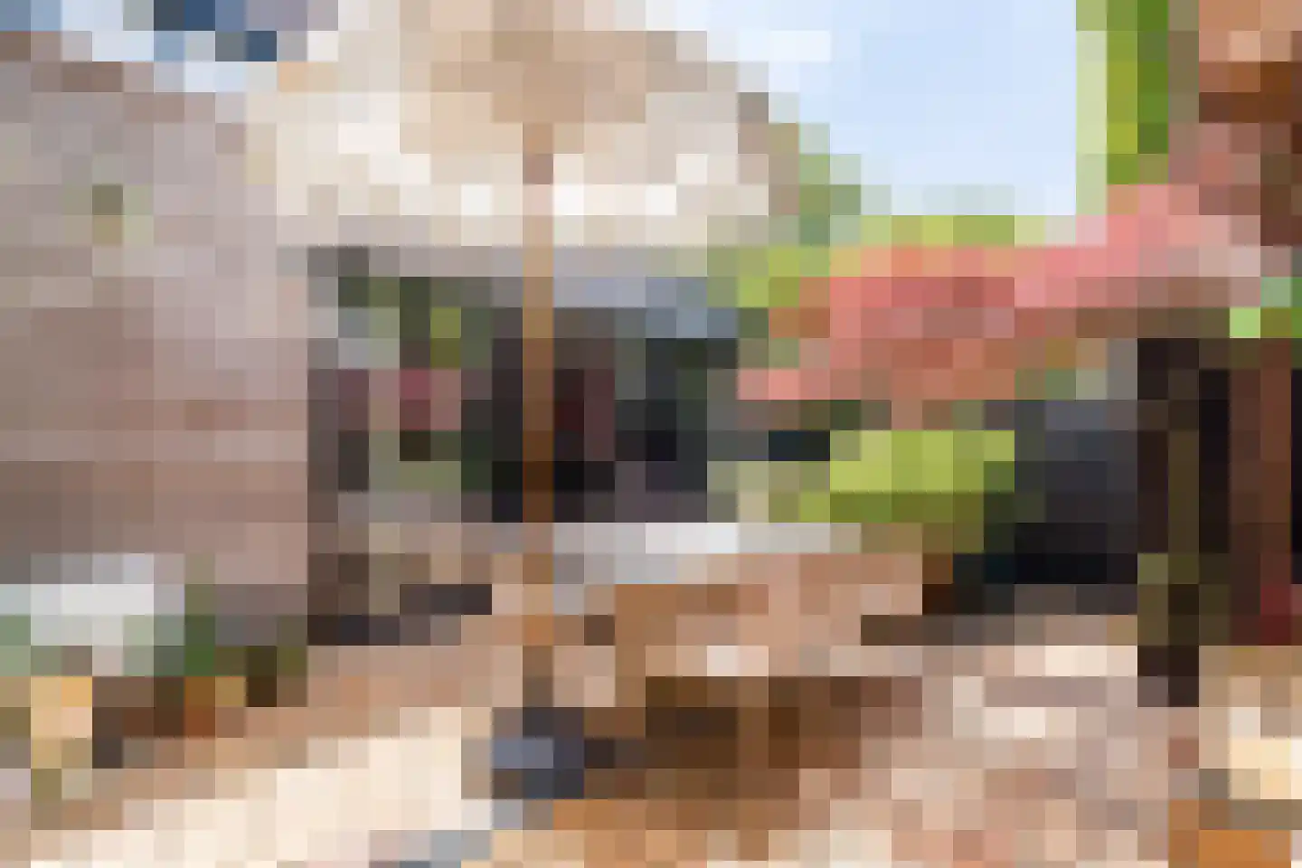 Theunishof 18 Weert thumbnail 30