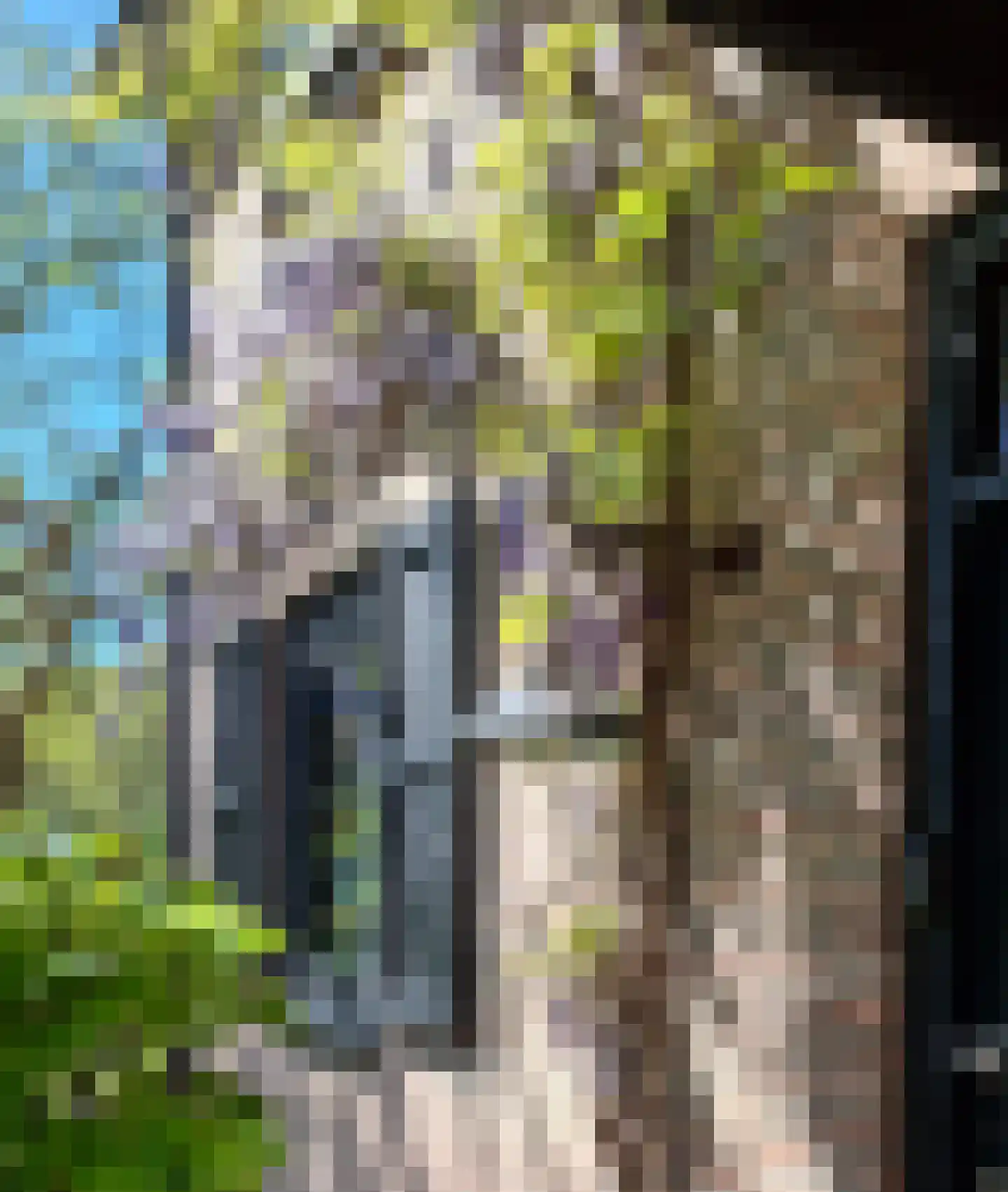 Theunishof 18 Weert thumbnail 32