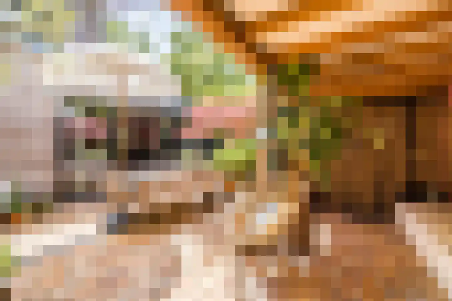 Theunishof 18 Weert thumbnail 4