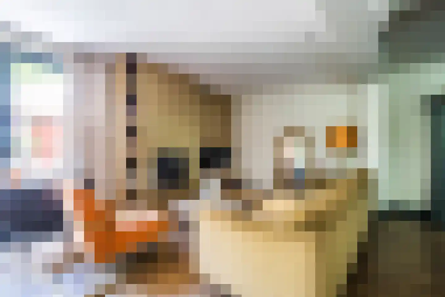 Theunishof 18 Weert thumbnail 6