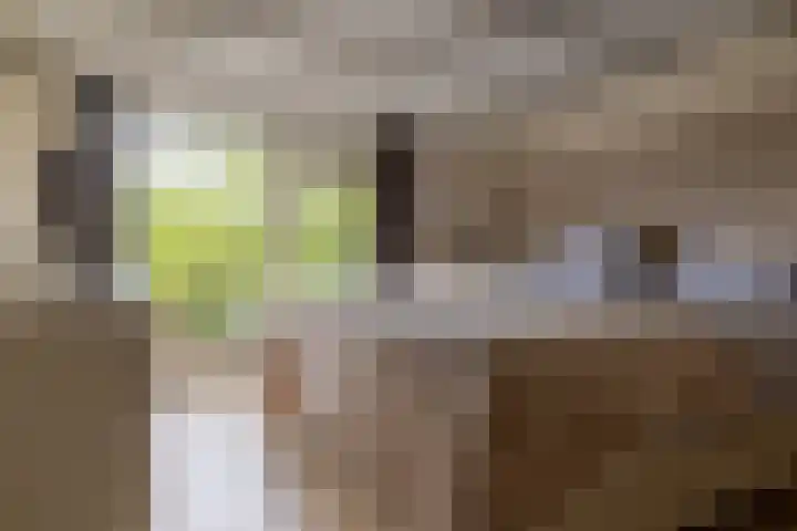 Thialflaan 18 Hoogezand thumbnail 17