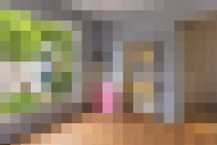 Thialflaan 18 Hoogezand thumbnail 19