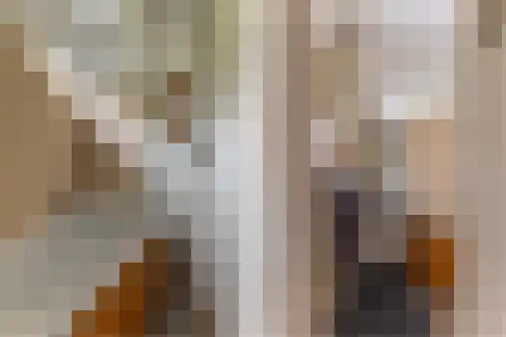 Thialflaan 18 Hoogezand thumbnail 22