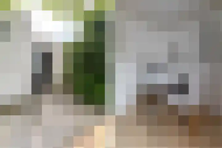 Thialflaan 18 Hoogezand thumbnail 24