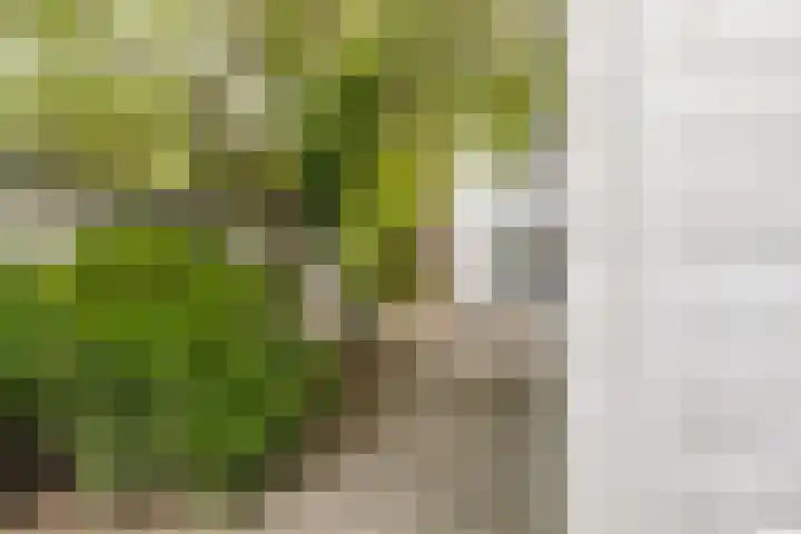 Thialflaan 18 Hoogezand thumbnail 25