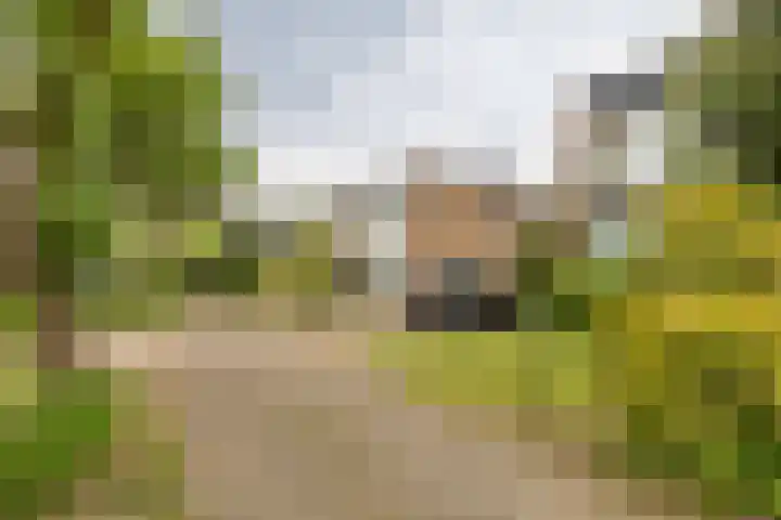 Thialflaan 18 Hoogezand thumbnail 27