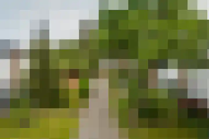Thialflaan 18 Hoogezand thumbnail 28