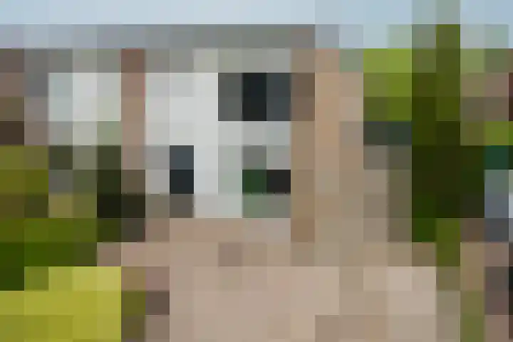 Thialflaan 18 Hoogezand thumbnail 4