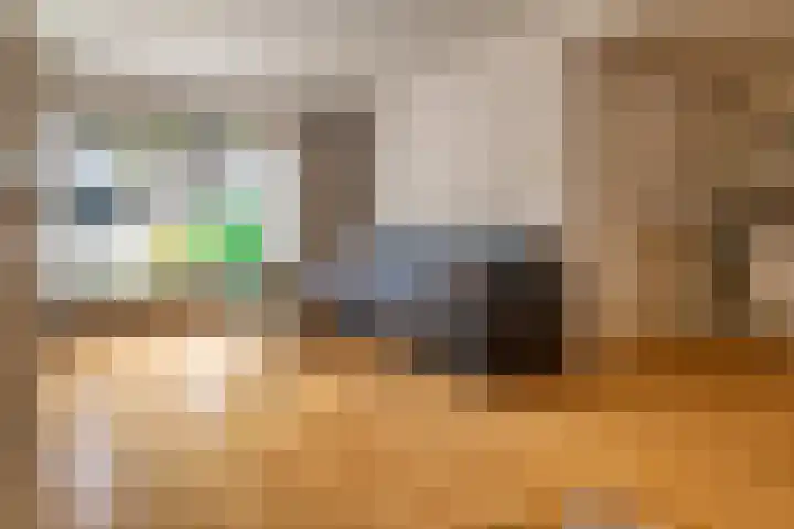 Thialflaan 18 Hoogezand thumbnail 8