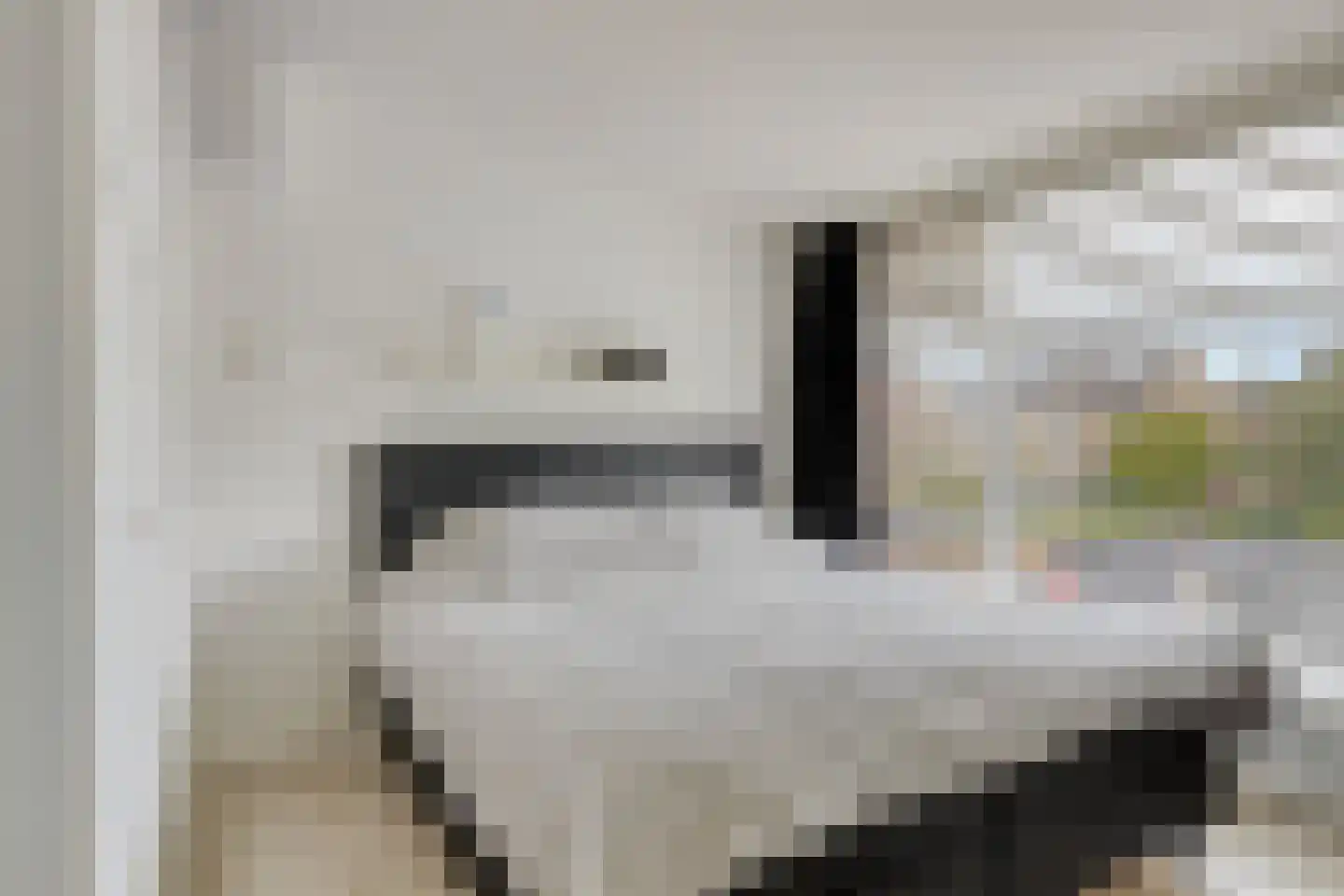 Thialflaan 37 Hoogezand thumbnail 16