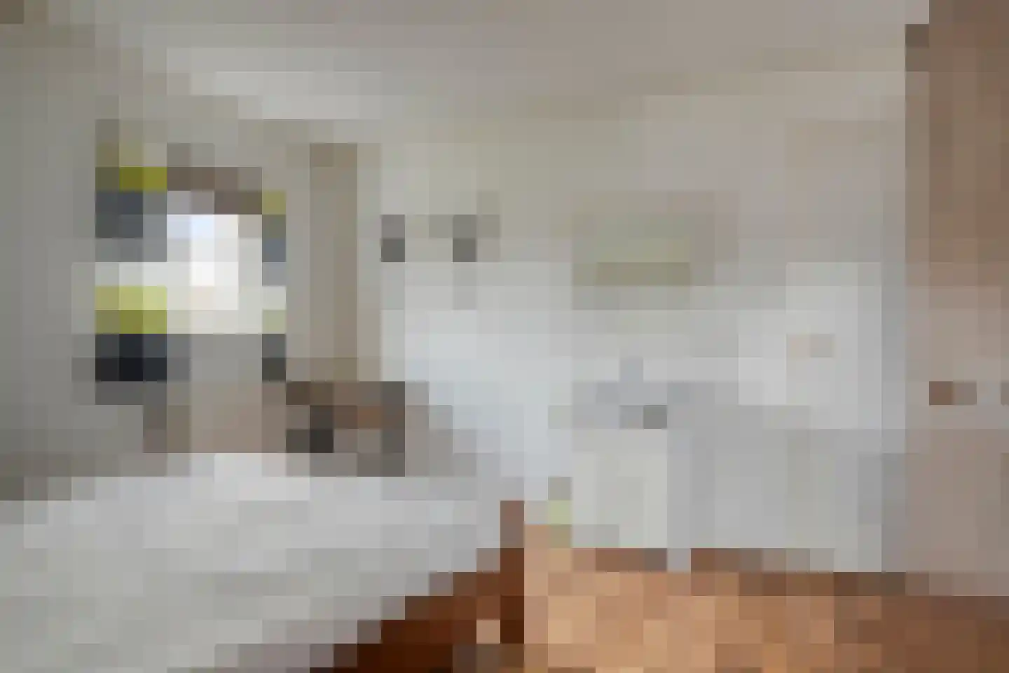 Thibautstraat 19 Aagtekerke thumbnail 42