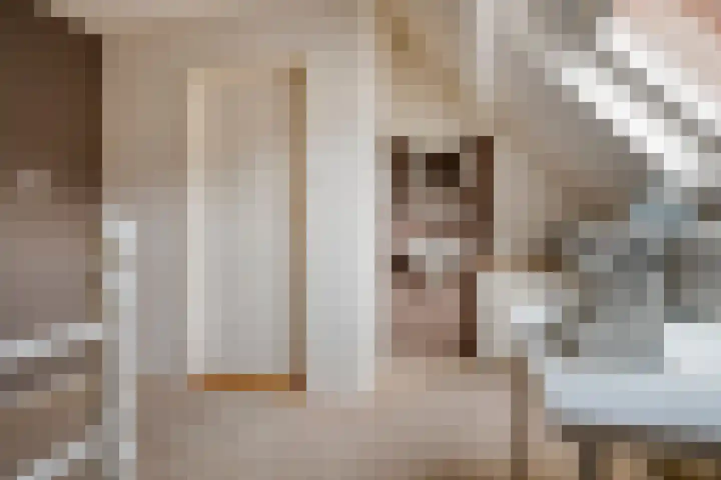 Thibautstraat 19 Aagtekerke thumbnail 46