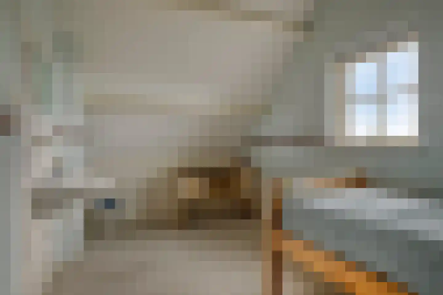 Thibautstraat 19 Aagtekerke thumbnail 55