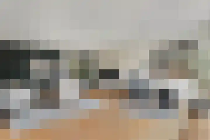Thieboutmarke 7 Zwolle thumbnail 10