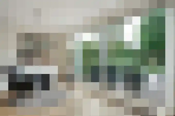 Thieboutmarke 7 Zwolle thumbnail 11