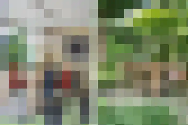Thieboutmarke 7 Zwolle thumbnail 12