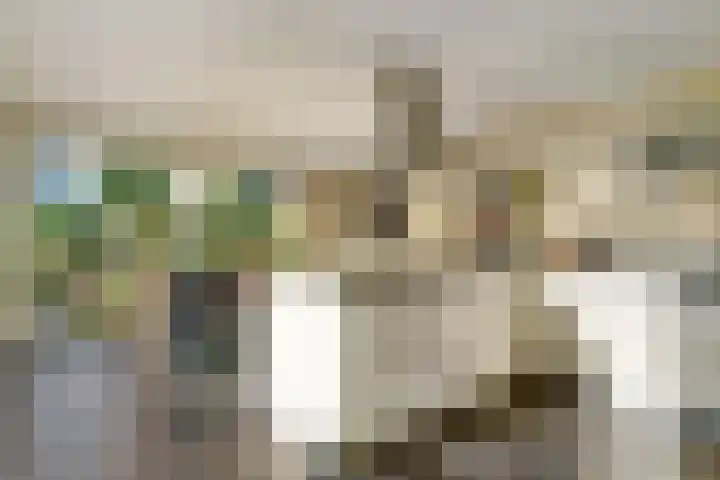 Thieboutmarke 7 Zwolle thumbnail 13