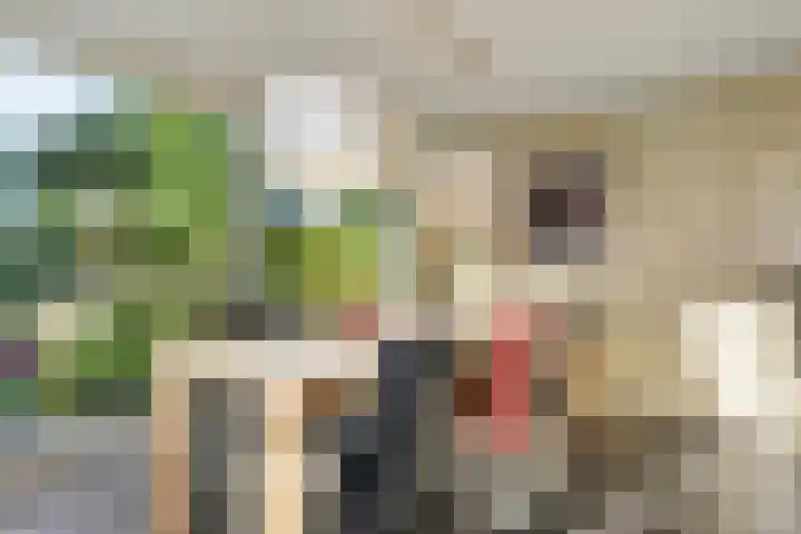 Thieboutmarke 7 Zwolle thumbnail 18