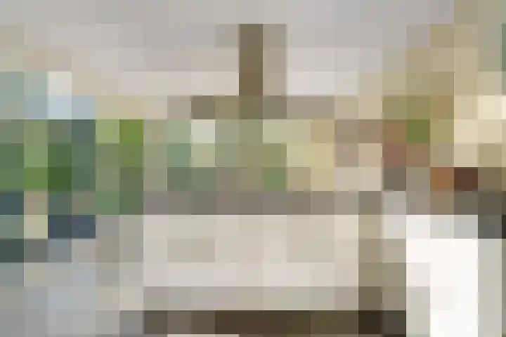 Thieboutmarke 7 Zwolle thumbnail 20
