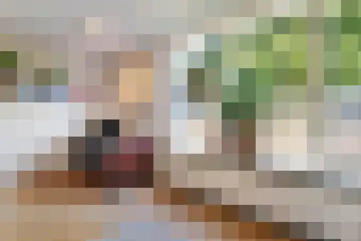 Thieboutmarke 7 Zwolle thumbnail 24
