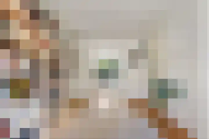 Thieboutmarke 7 Zwolle thumbnail 26