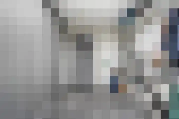 Thieboutmarke 7 Zwolle thumbnail 29