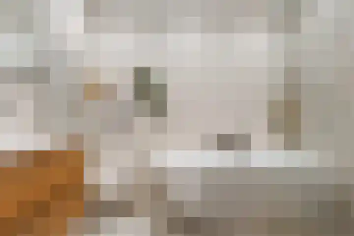 Thieboutmarke 7 Zwolle thumbnail 34