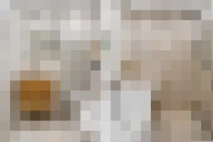 Thieboutmarke 7 Zwolle thumbnail 35