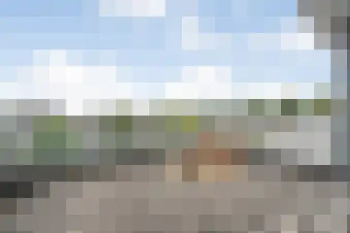 Thieboutmarke 7 Zwolle thumbnail 41