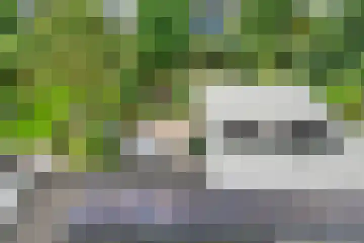 Thieboutmarke 7 Zwolle thumbnail 44