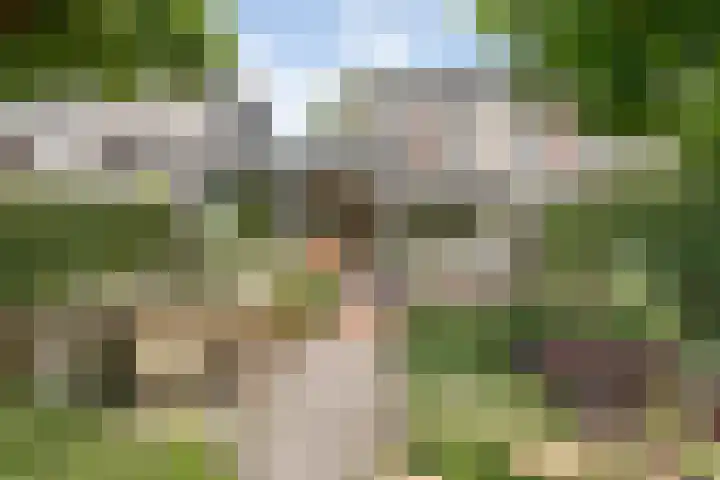Thieboutmarke 7 Zwolle thumbnail 45