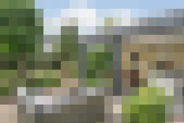 Thieboutmarke 7 Zwolle thumbnail 46