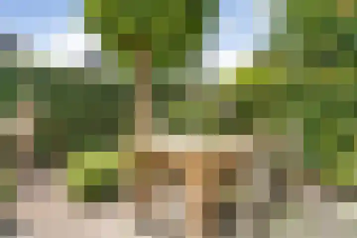 Thieboutmarke 7 Zwolle thumbnail 47