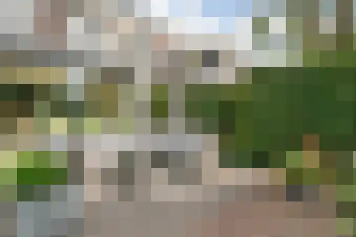 Thieboutmarke 7 Zwolle thumbnail 48