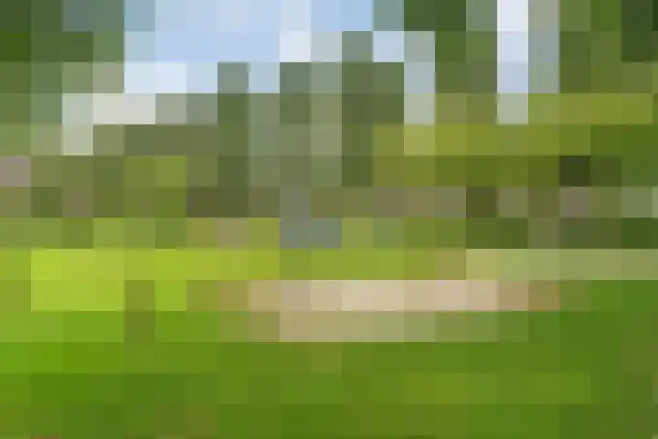 Thieboutmarke 7 Zwolle thumbnail 52
