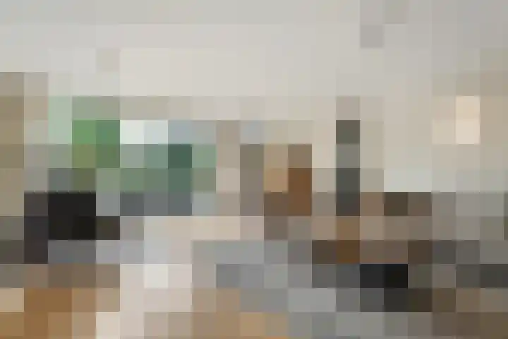 Thieboutmarke 7 Zwolle thumbnail 6