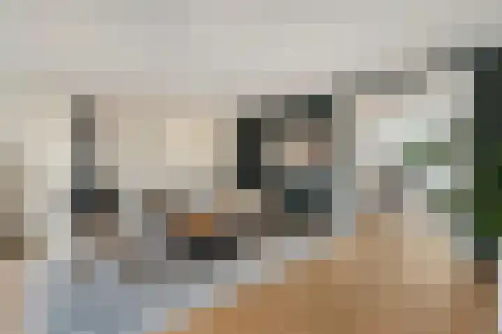 Thieboutmarke 7 Zwolle thumbnail 8