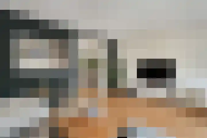 Thieboutmarke 7 Zwolle thumbnail 9