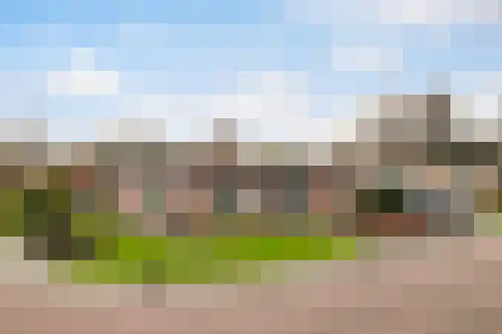 Thiedamawei 10 Damwâld