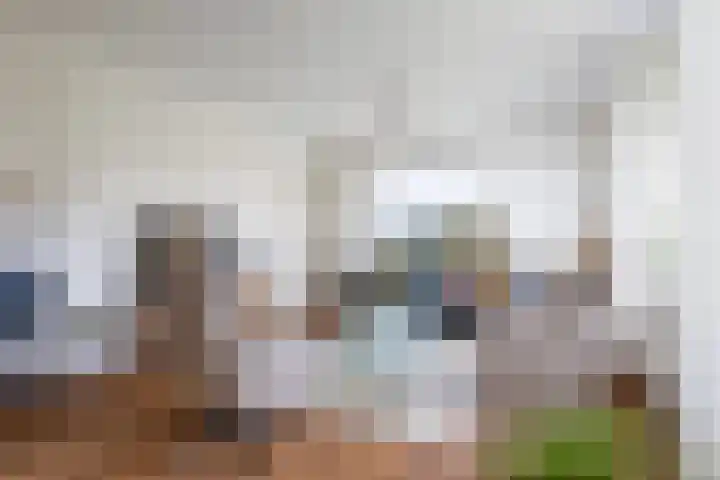 Thiedamawei 10 Damwâld thumbnail 18