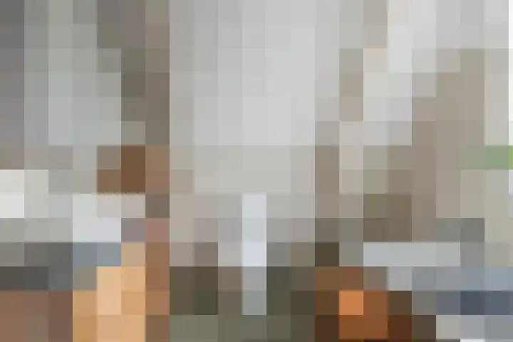 Thiedamawei 10 Damwâld thumbnail 19