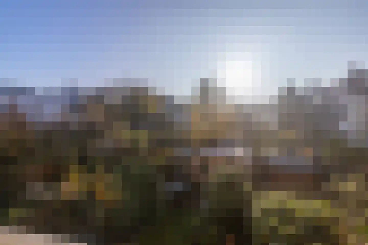 Thiedamawei 10 Damwâld thumbnail 21